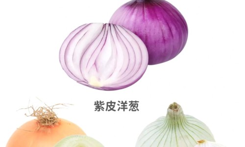 丹参和黄芪的功效网 - 丹参和黄芪的功效与作用及食用方法,丹参和黄芪的功效与作用及食用方法